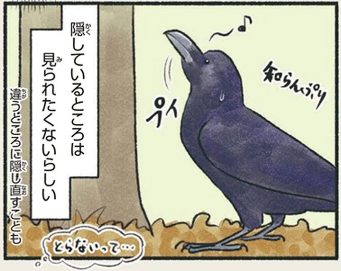 知らんぷり