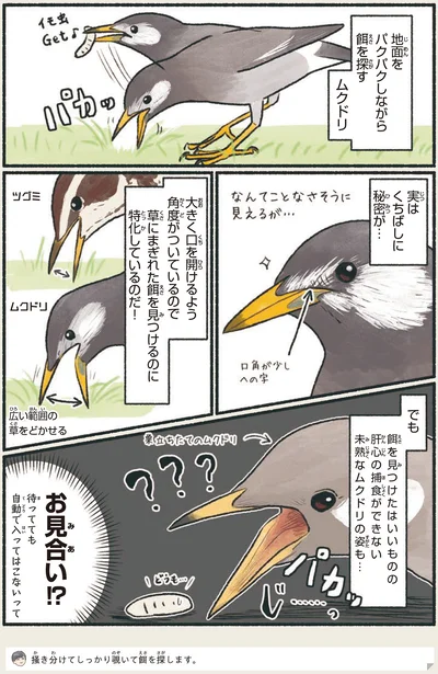 お見合い！？