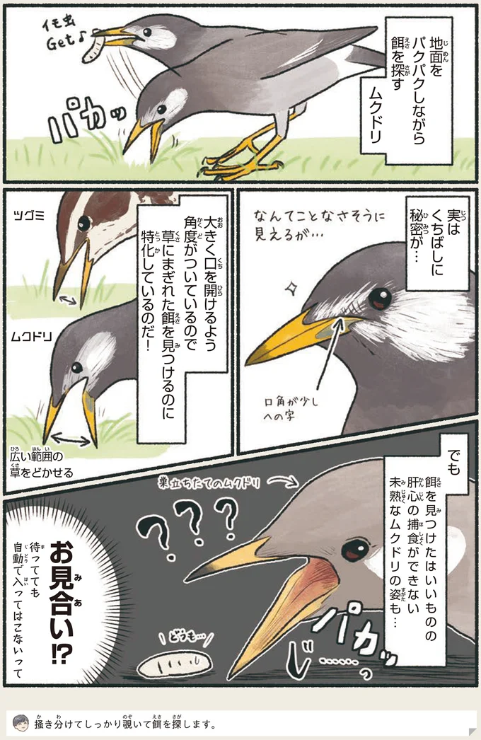お見合い！？