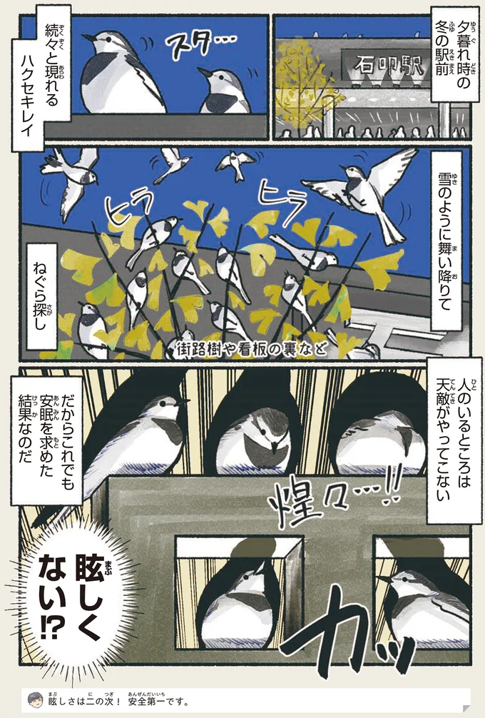 ねぐら探し