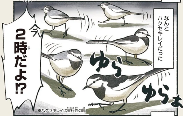 深夜のガソリンスタンドにゆらめく白い鳥の影。ハクセキレイは何しているの!?