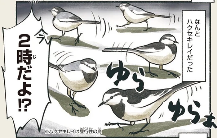 深夜のガソリンスタンドにゆらめく白い鳥の影。ハクセキレイは何しているの!?