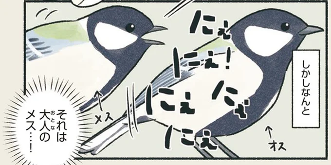 しかしなんと