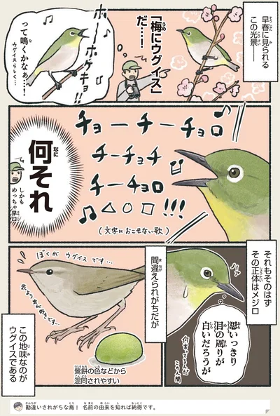 「梅にウグイス」だ…！