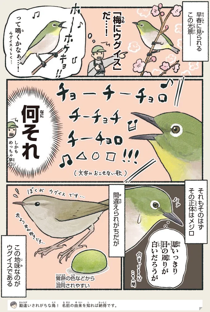 「梅にウグイス」だ…！