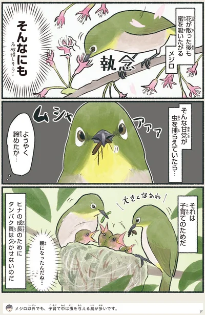 ようやく諦めたか…