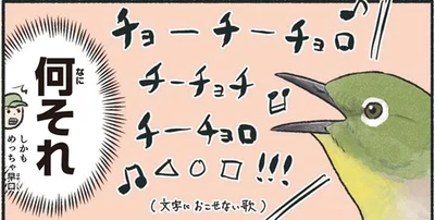 何それ