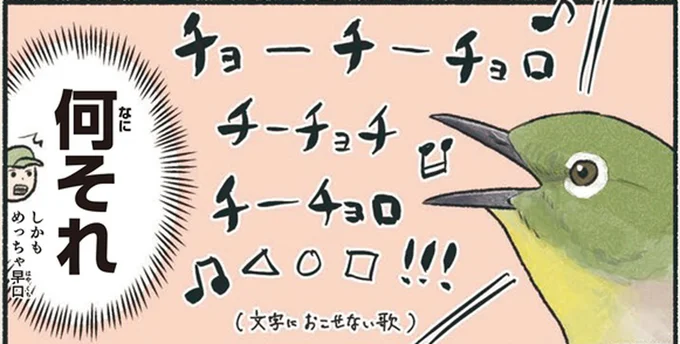 何それ