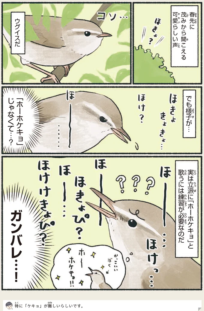 様子が…