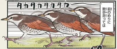 前のめりに数歩走っては