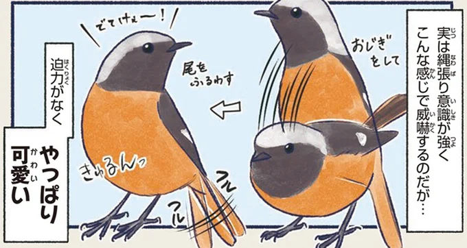 やっぱり可愛い