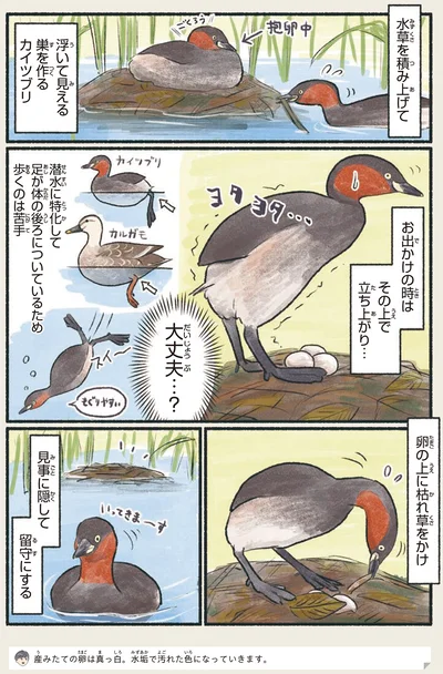 歩くのは苦手