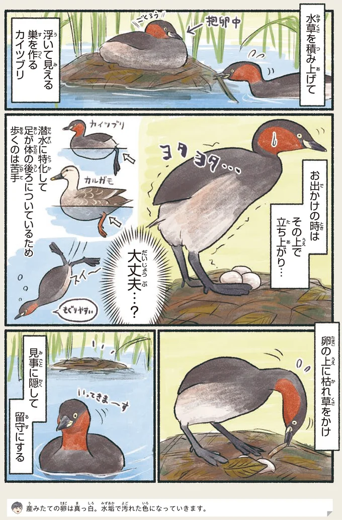 歩くのは苦手