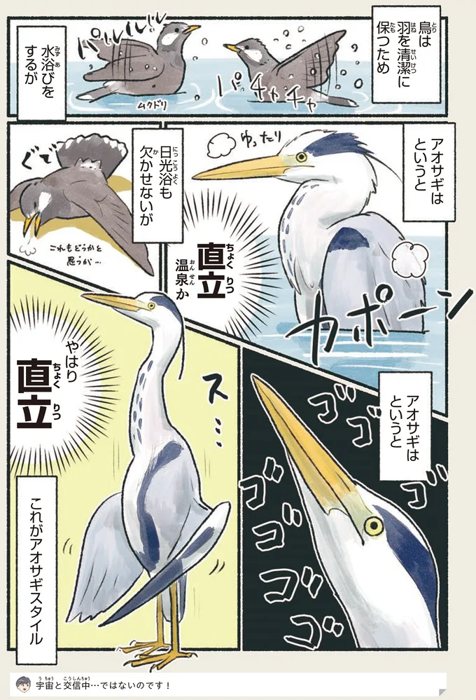 直立