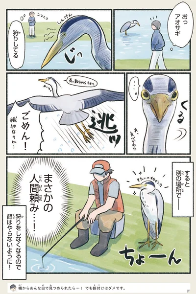 狩りしてる