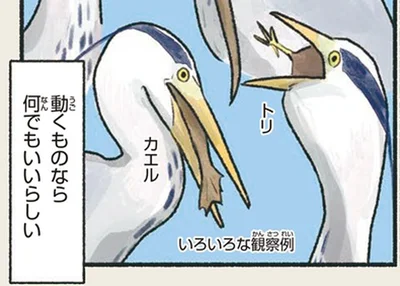 トリやカエル