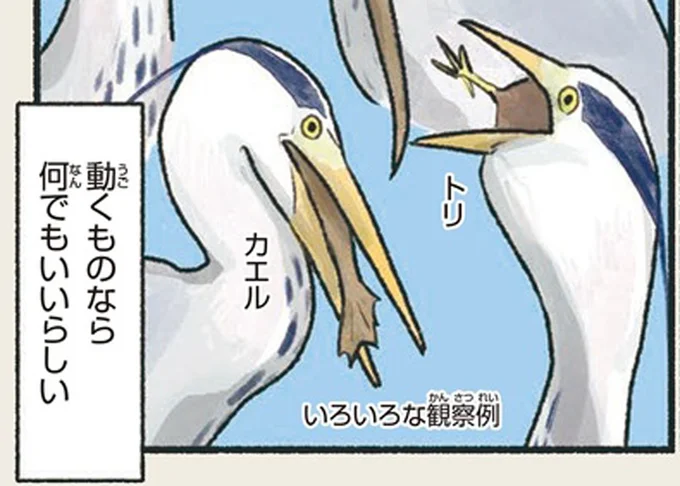 トリやカエル