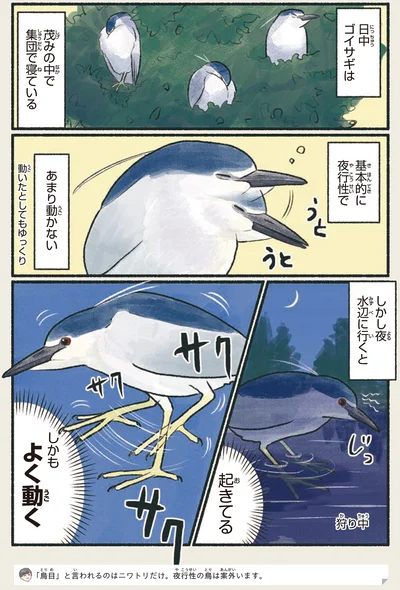 茂みの中で集団で寝ている