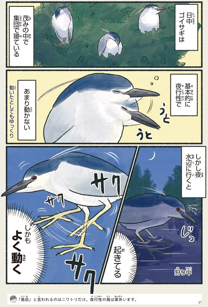 茂みの中で集団で寝ている