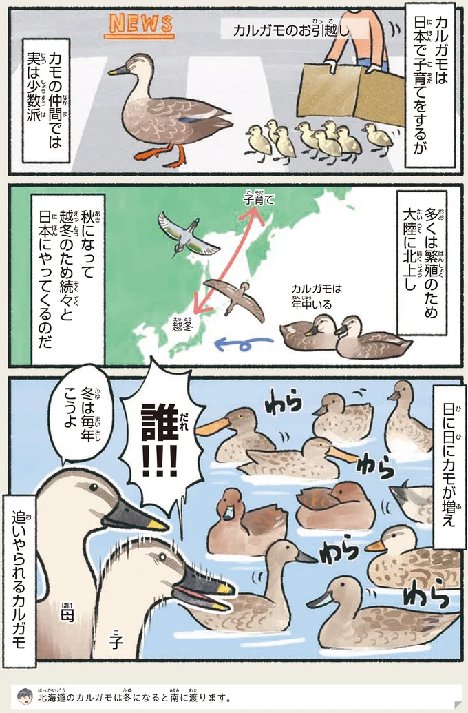 冬は毎年こうよ