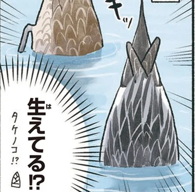 生えてる！？