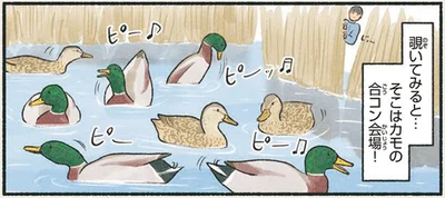 覗いてみると…
