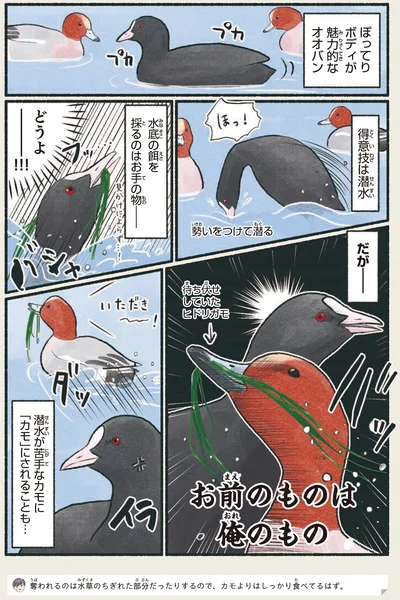 お前のものは俺のもの
