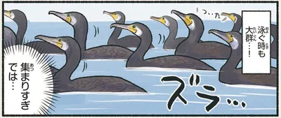 泳ぐ時も大群…！