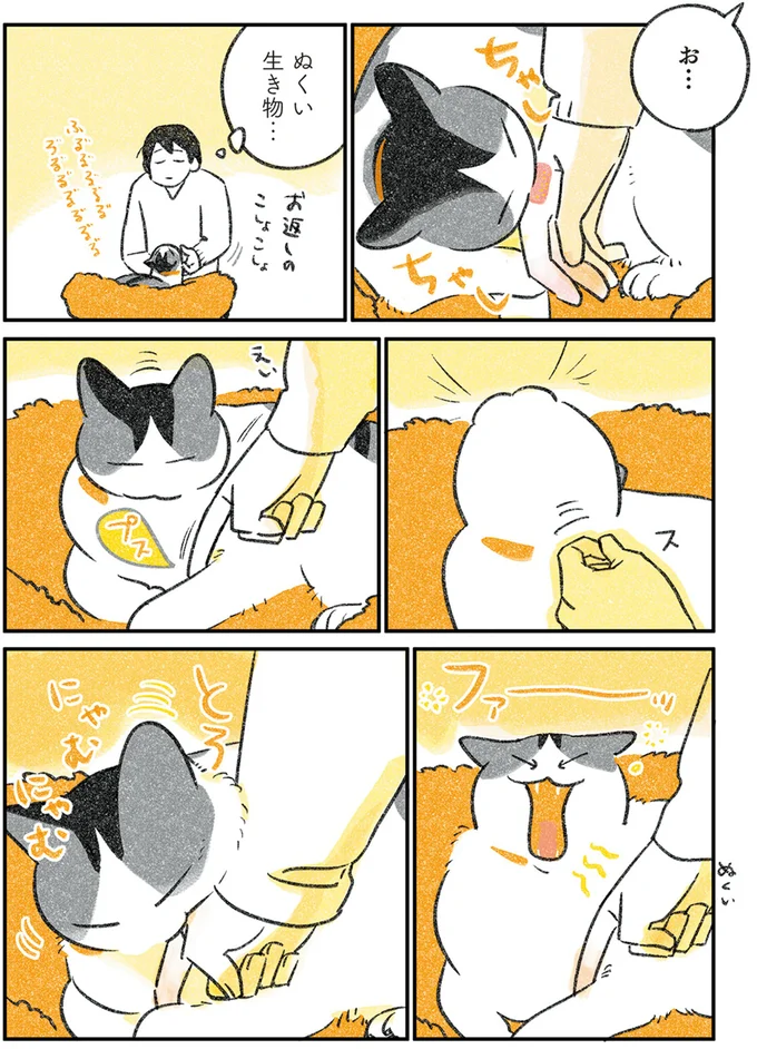 ぬくい生き物…