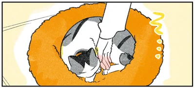 そ…