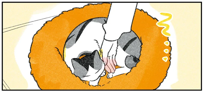 そ…
