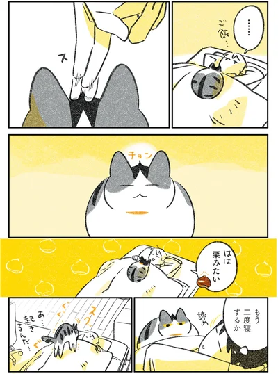 栗みたい