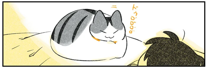 そろそろ起きたいけど動けない！ 布団の上に乗る猫のせいで二度寝しました
