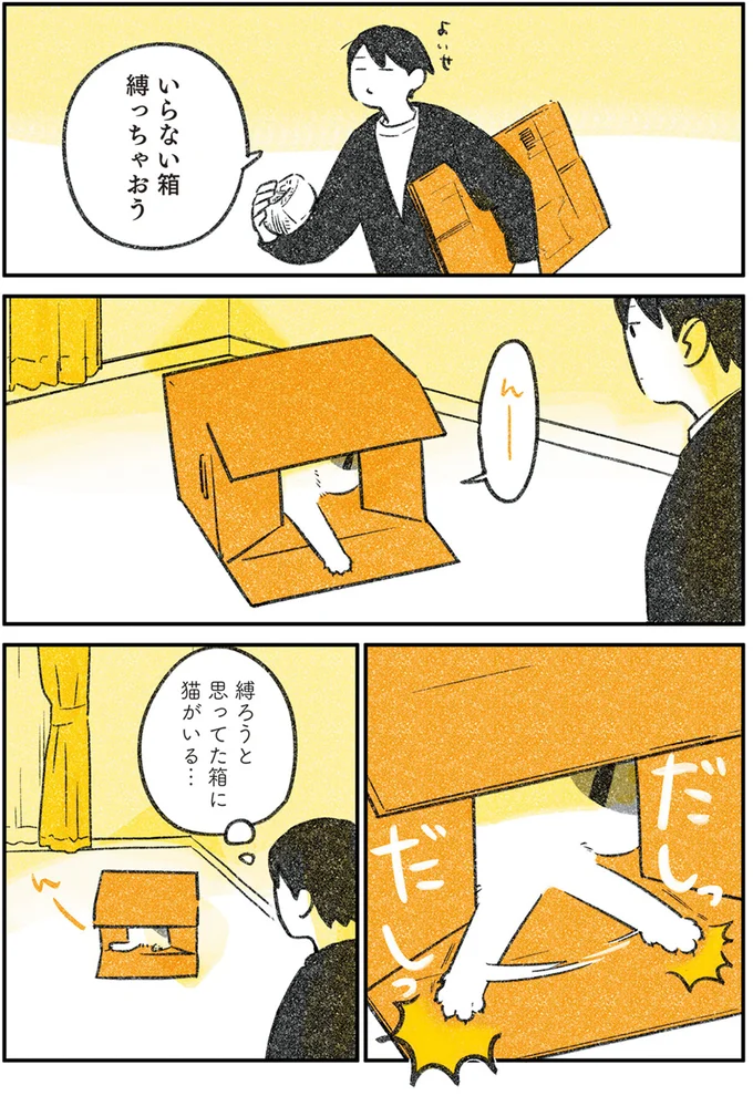 いらない箱縛っちゃおう