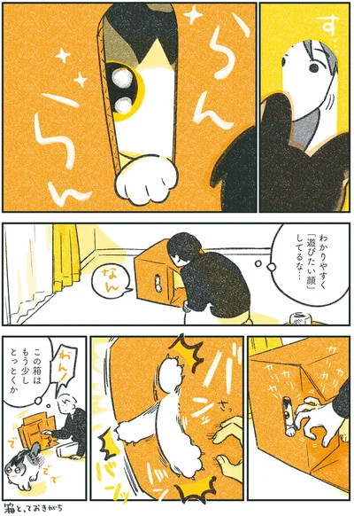 この箱はもう少しとっとくか