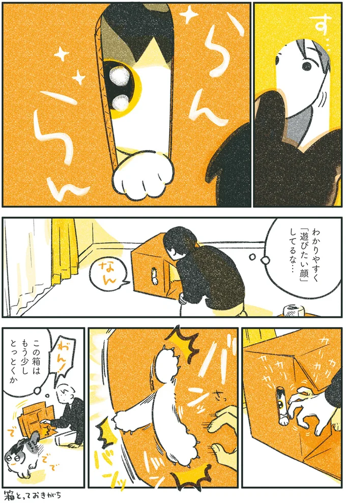 この箱はもう少しとっとくか