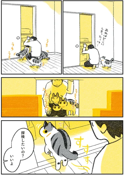 押入れ探検が好きな猫