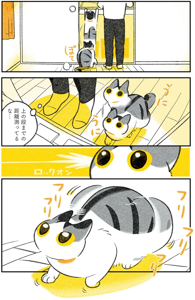 上の段までの距離測ってるな…