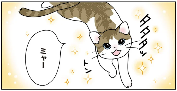 ミャー