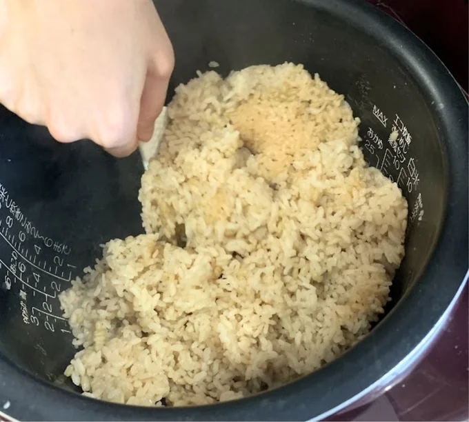 炊きたてのほうじ茶ごはん。