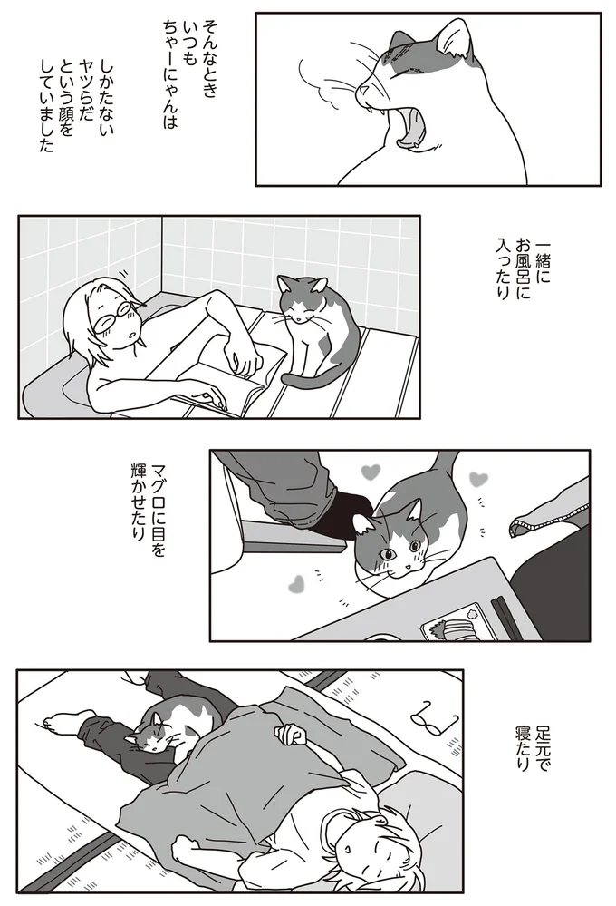 しかたないヤツらだ　という顔をしていました