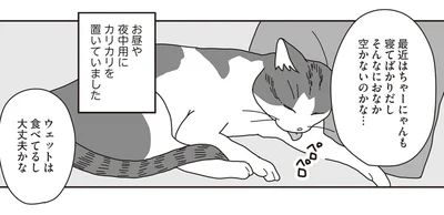 そんなにおなか空かないのかな…