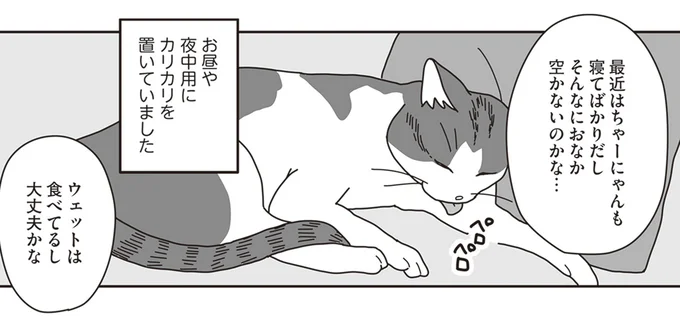 そんなにおなか空かないのかな…