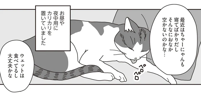 食欲不振になった猫。それこそが「兆し」であったことに気付けなくて／世界一幸せな飼い主にしてくれた猫（4）