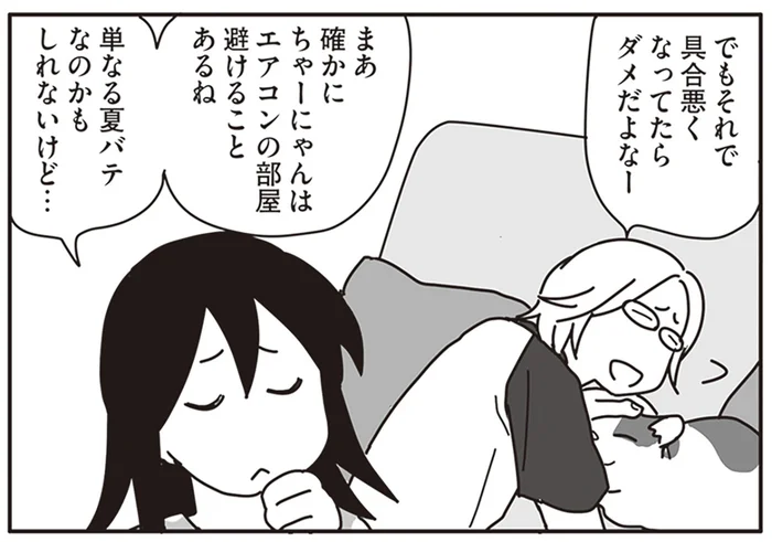 単なる夏バテ？ ぐったりした猫を心配し、病院に連れていくことを決めた／世界一幸せな飼い主にしてくれた猫（5）
