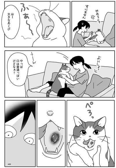 おー　大きなあくび