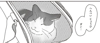 へんぺい じょうひ ガン…