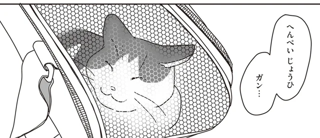「口内炎じゃありません」猫の異変に名付けられた病名は／世界一幸せな飼い主にしてくれた猫（7）
