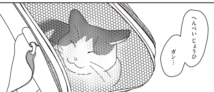 「口内炎じゃありません」猫の異変に名付けられた病名は／世界一幸せな飼い主にしてくれた猫（7）