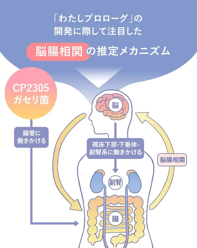脳腸相関のメカニズム